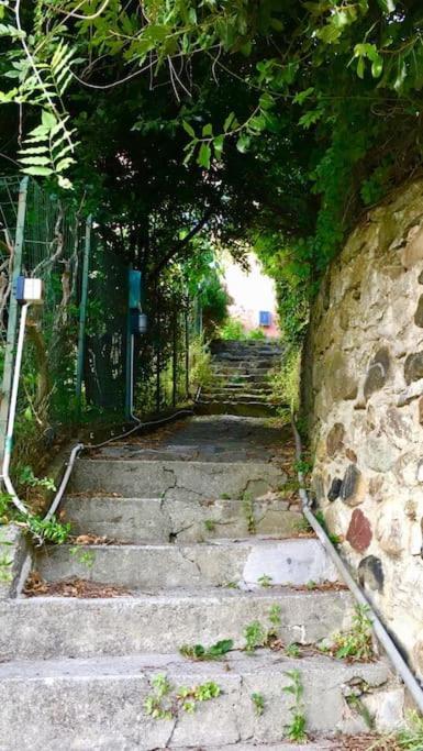 Apartamento La Casa Novella, A 450 Metri Dal Mare Moneglia Exterior foto