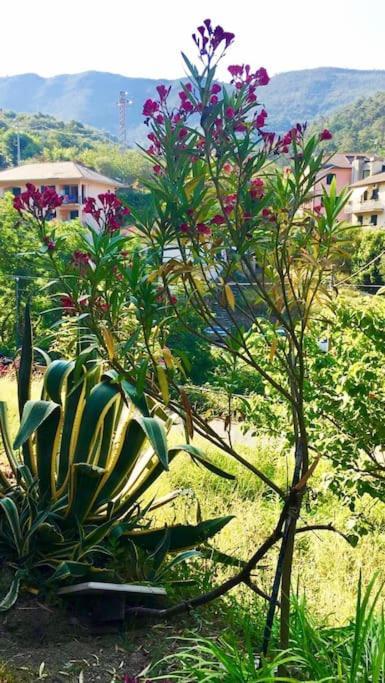 Apartamento La Casa Novella, A 450 Metri Dal Mare Moneglia Exterior foto